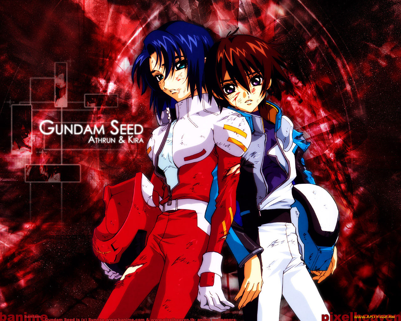 , gundam, seed